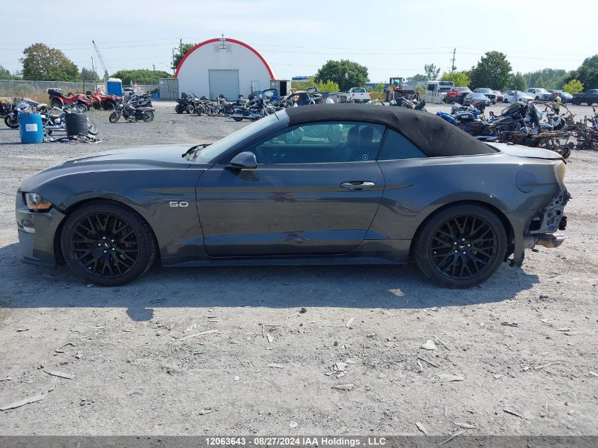 2019 Ford Mustang VIN: 1FATP8FF4K5115702 Lot: 12063643