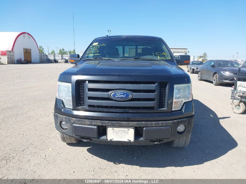 2010 Ford F-150 VIN: 1FTFW1EV4AFB56513 Lot: 12063657