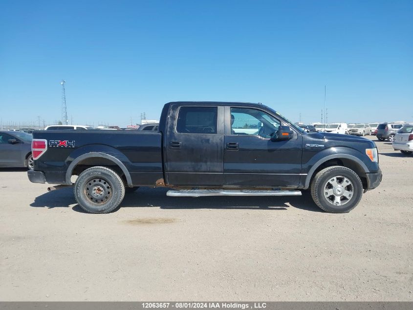 2010 Ford F-150 VIN: 1FTFW1EV4AFB56513 Lot: 12063657