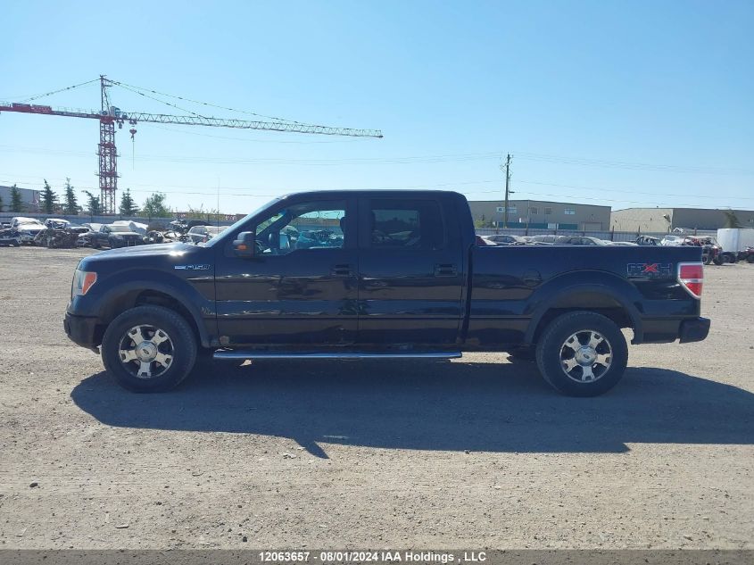 2010 Ford F-150 VIN: 1FTFW1EV4AFB56513 Lot: 12063657