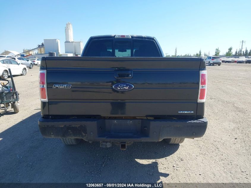 2010 Ford F-150 VIN: 1FTFW1EV4AFB56513 Lot: 12063657