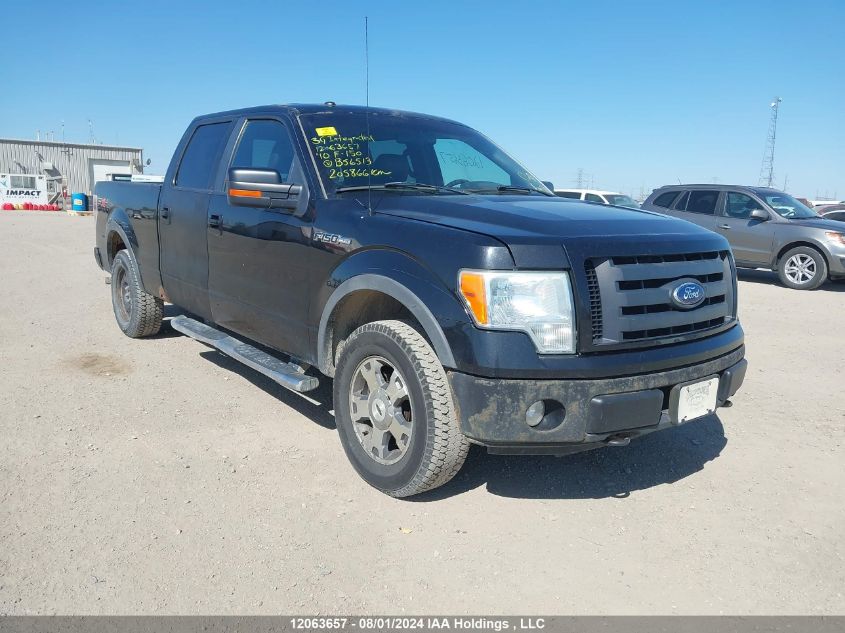 2010 Ford F-150 VIN: 1FTFW1EV4AFB56513 Lot: 12063657