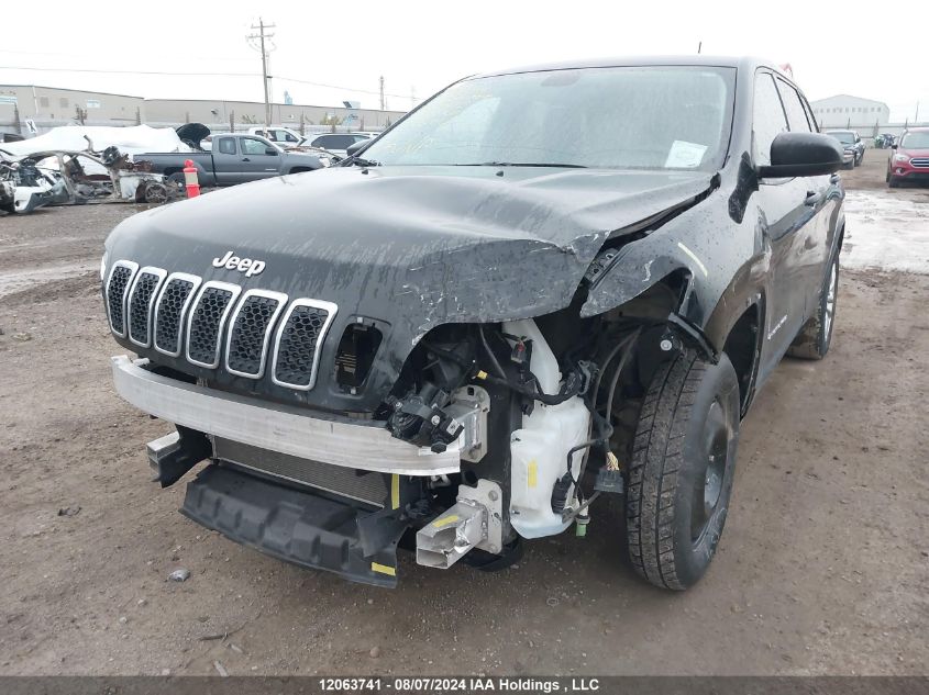 2019 Jeep Cherokee Sport VIN: 1C4PJMAB5KD318579 Lot: 12063741