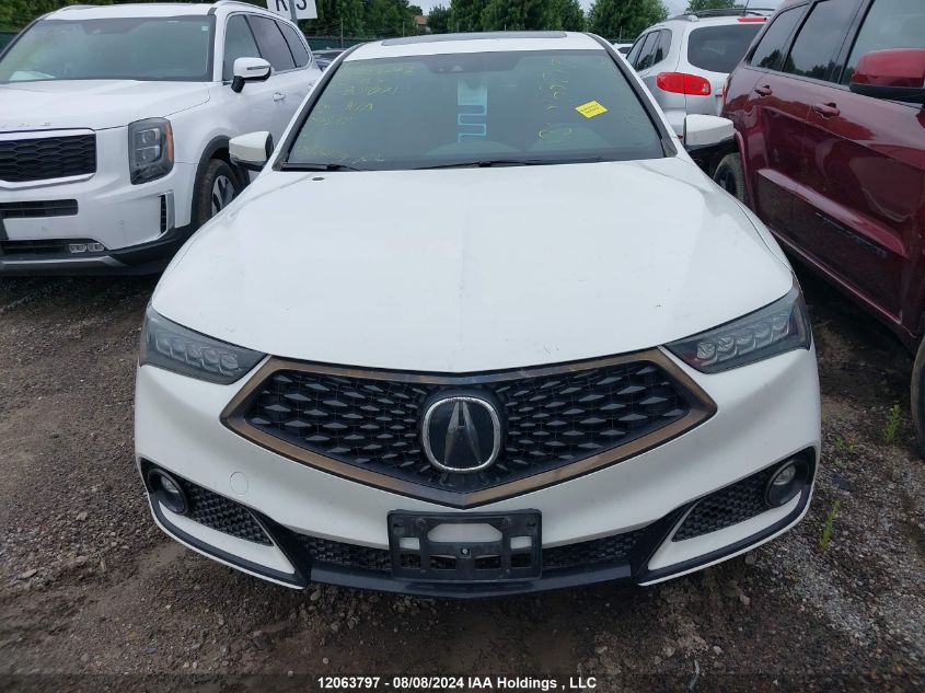 2020 Acura Tlx VIN: 19UUB1F69LA801071 Lot: 12063797