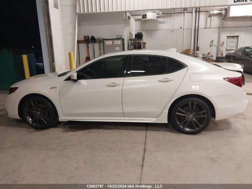 2020 Acura Tlx VIN: 19UUB1F69LA801071 Lot: 12063797