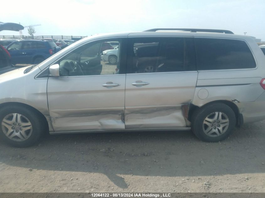 2005 Honda Odyssey VIN: 5FNRL388X5B502338 Lot: 12064122