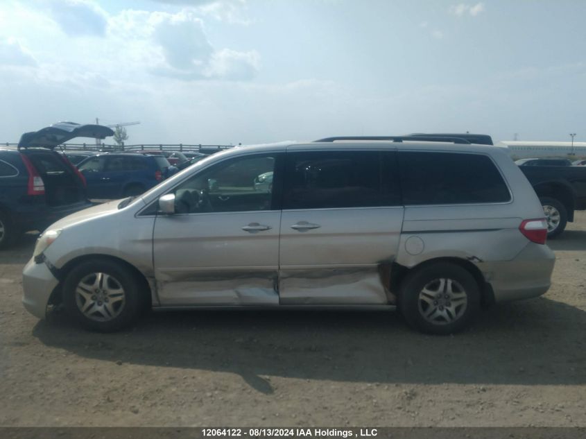 2005 Honda Odyssey VIN: 5FNRL388X5B502338 Lot: 12064122