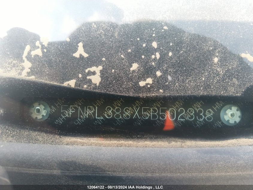 2005 Honda Odyssey VIN: 5FNRL388X5B502338 Lot: 12064122