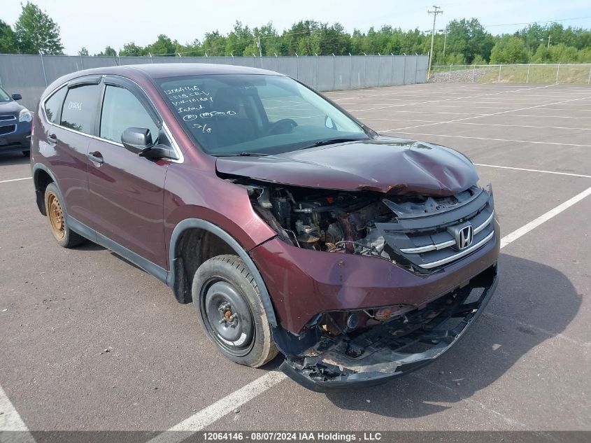2013 Honda Cr-V VIN: 2HKRM4H36DH101621 Lot: 12064146