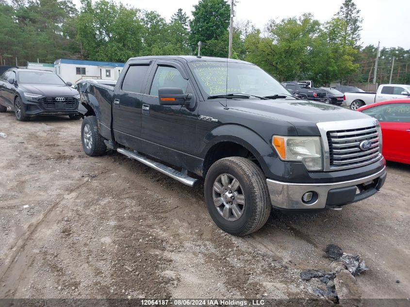 2010 Ford F-150 VIN: 1FTFW1E81AFB99863 Lot: 12064187