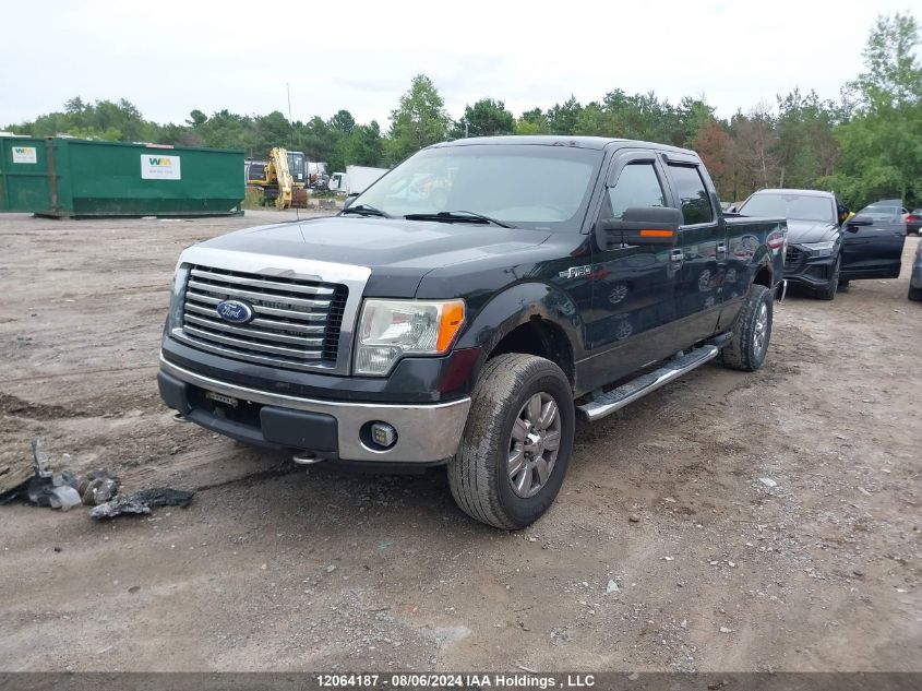 2010 Ford F-150 VIN: 1FTFW1E81AFB99863 Lot: 12064187