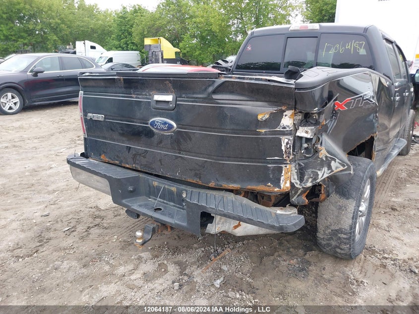 2010 Ford F-150 VIN: 1FTFW1E81AFB99863 Lot: 12064187