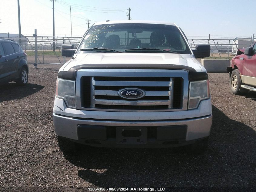 2011 Ford F-150 Xlt VIN: 1FTFX1EF2BFC23293 Lot: 12064358