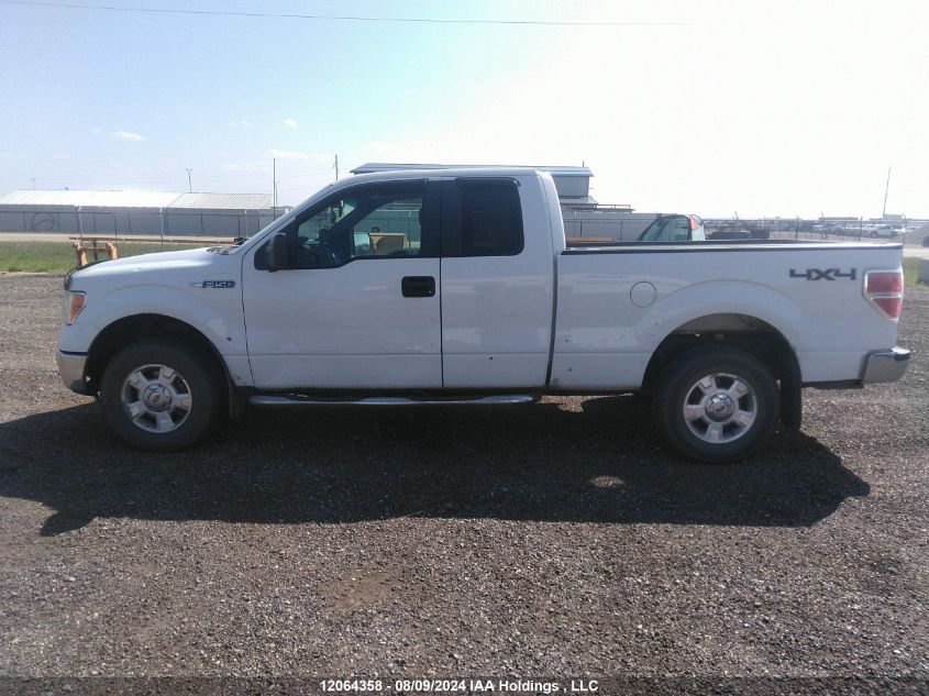 2011 Ford F-150 Xlt VIN: 1FTFX1EF2BFC23293 Lot: 12064358