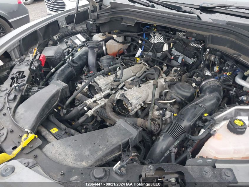 2019 Alfa Romeo Stelvio Quadrifoglio VIN: ZASPAKEV5K7C58737 Lot: 12064447