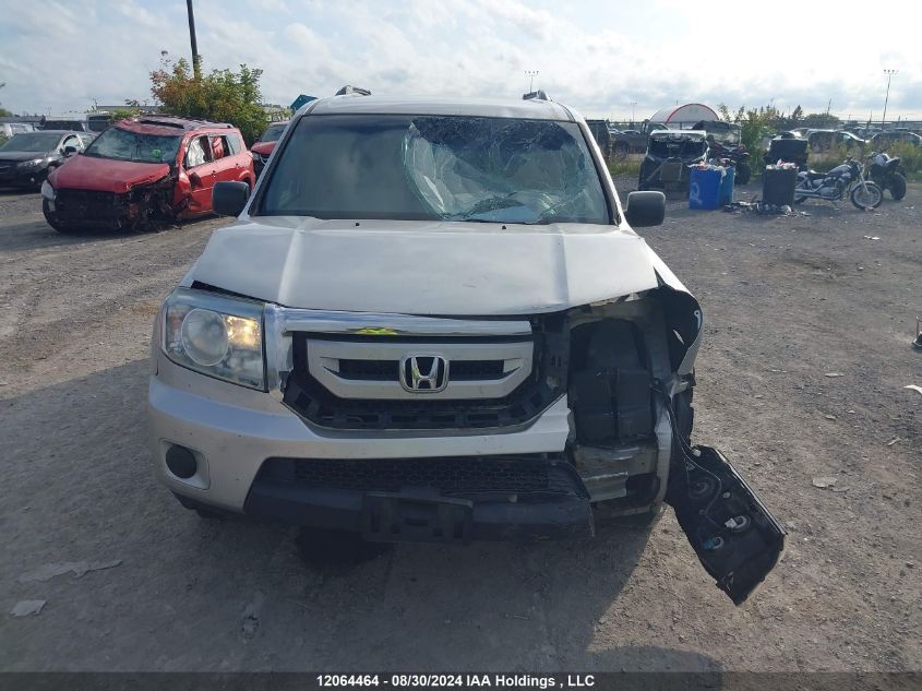 2010 Honda Pilot VIN: 5FNYF4H23AB503670 Lot: 12064464