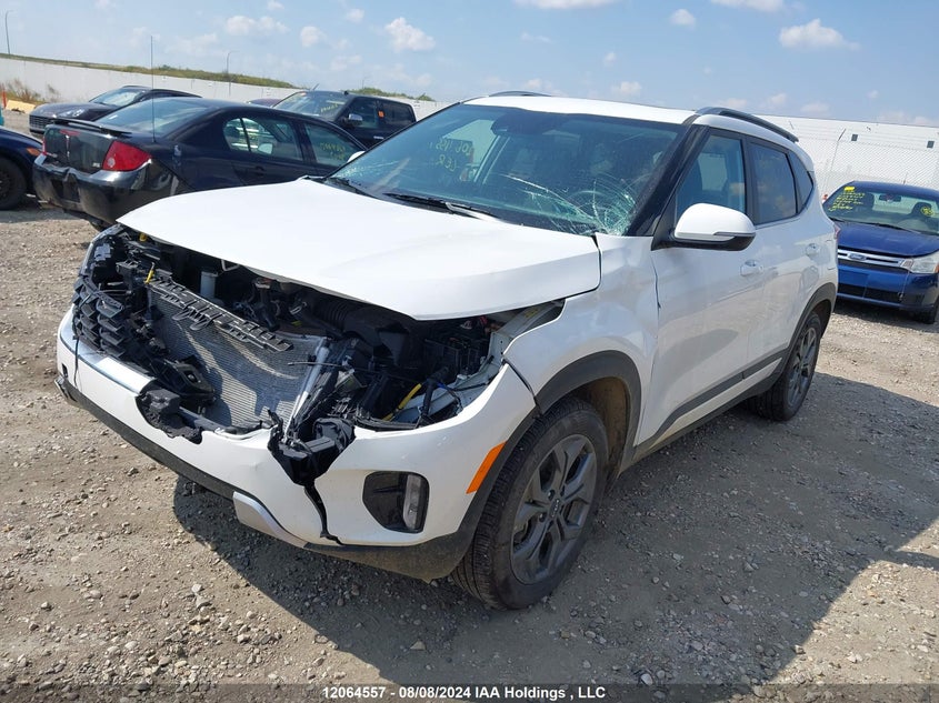 2024 Kia Seltos VIN: KNDEUCAA4R7587357 Lot: 12064557