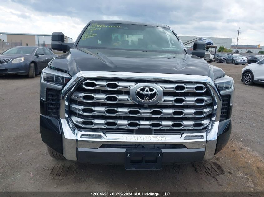 2023 Toyota Tundra Platinum VIN: 5TFMA5EC6PX018809 Lot: 12064628