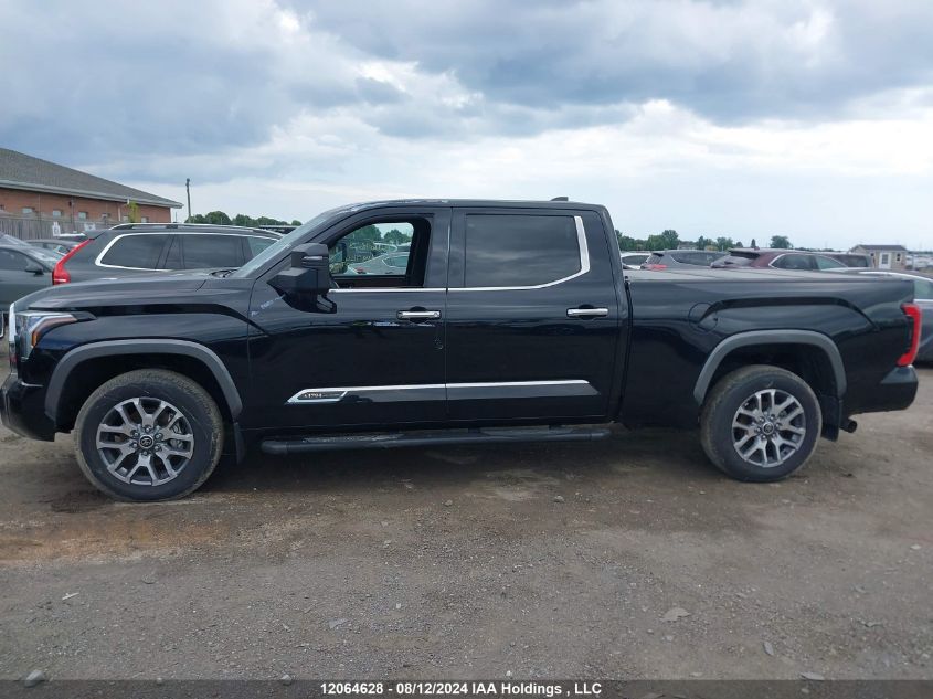 2023 Toyota Tundra Platinum VIN: 5TFMA5EC6PX018809 Lot: 12064628