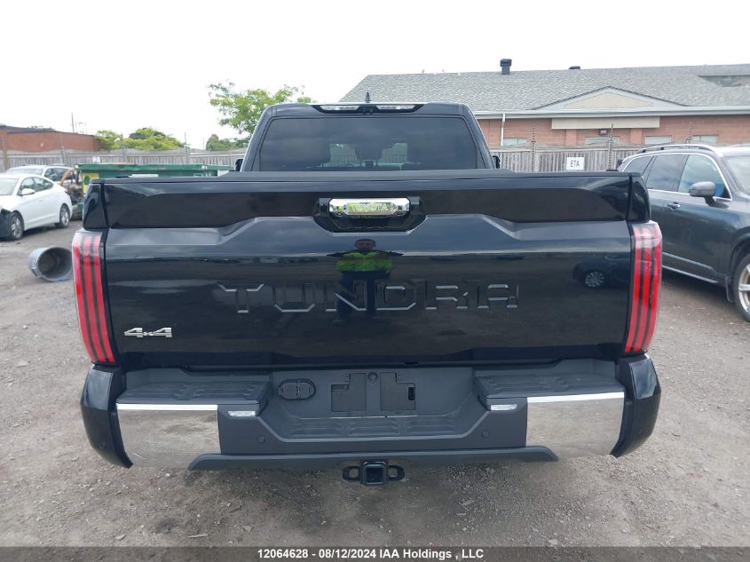 2023 Toyota Tundra Platinum VIN: 5TFMA5EC6PX018809 Lot: 12064628