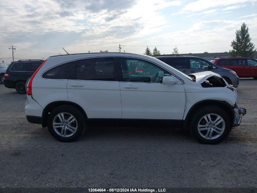 2010 Honda Cr-V VIN: 5J6RE4H58AL811507 Lot: 12064664