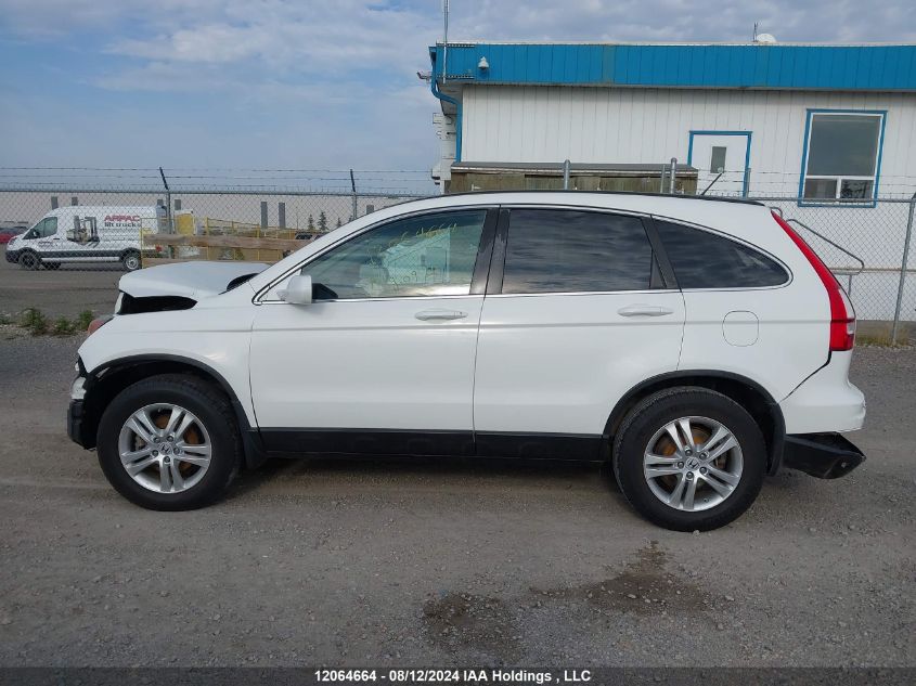 2010 Honda Cr-V VIN: 5J6RE4H58AL811507 Lot: 12064664