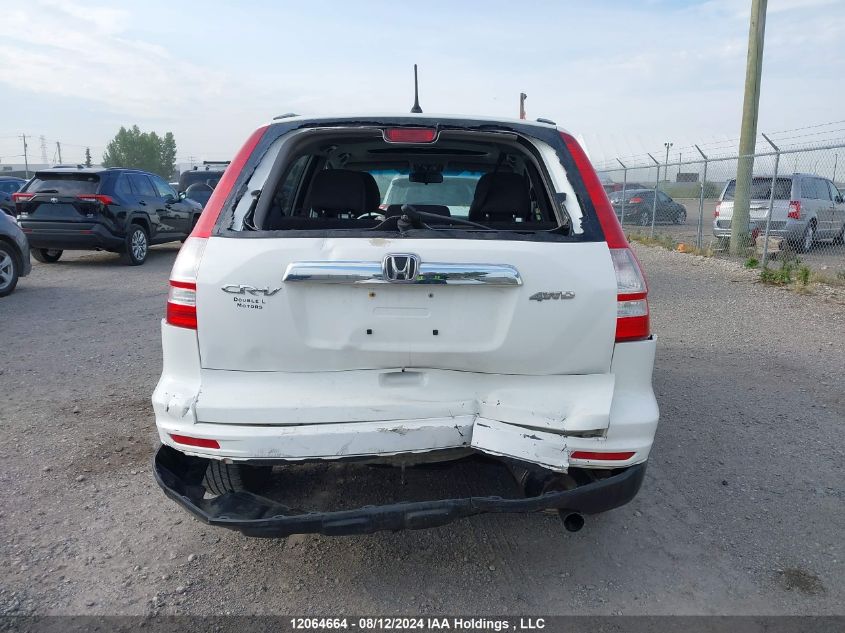 2010 Honda Cr-V VIN: 5J6RE4H58AL811507 Lot: 12064664