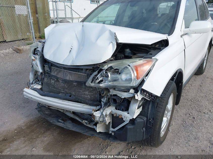 2010 Honda Cr-V VIN: 5J6RE4H58AL811507 Lot: 12064664