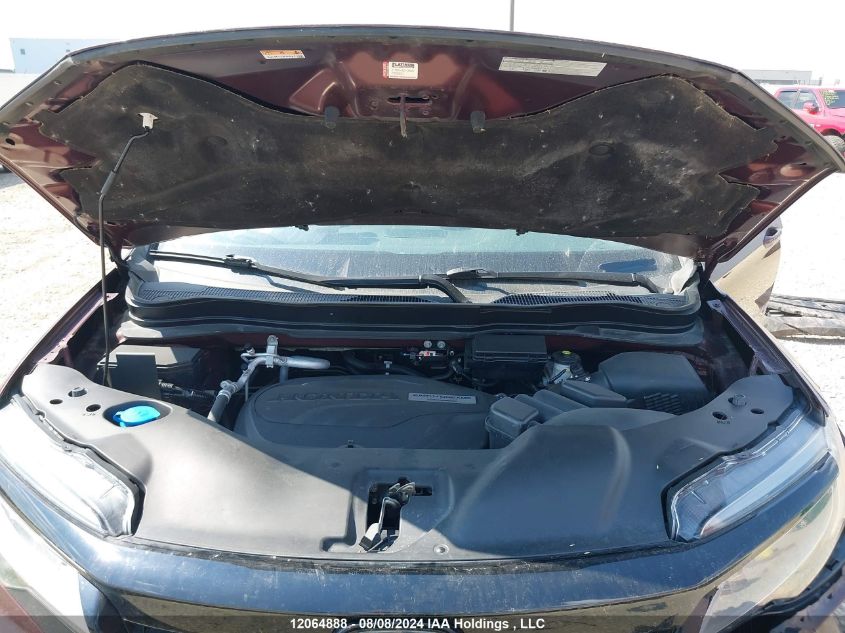 2019 Honda Passport VIN: 5FNYF8H98KB501998 Lot: 12064888