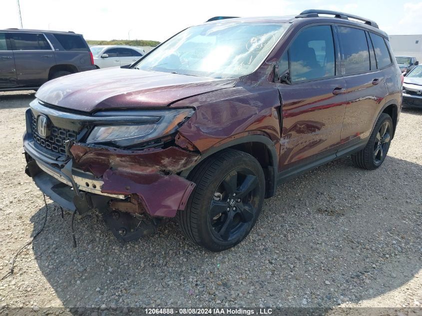 2019 Honda Passport VIN: 5FNYF8H98KB501998 Lot: 12064888