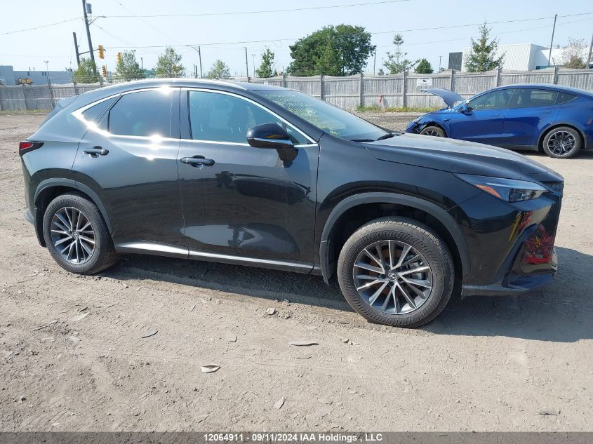 2023 Lexus Nx Nx 350H VIN: 2T2GKCEZ2PC014592 Lot: 12064911