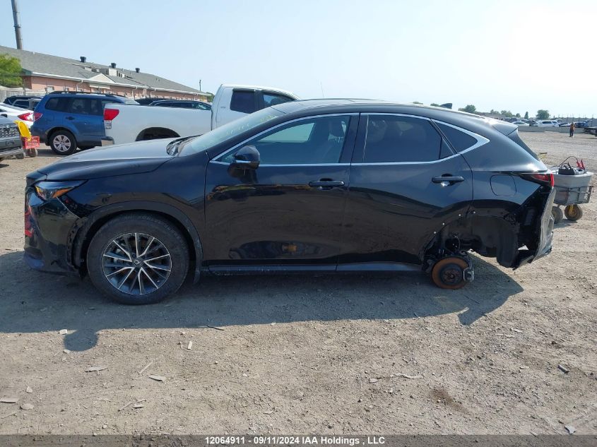 2023 Lexus Nx Nx 350H VIN: 2T2GKCEZ2PC014592 Lot: 12064911