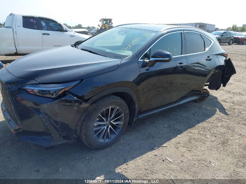 2023 Lexus Nx Nx 350H VIN: 2T2GKCEZ2PC014592 Lot: 12064911