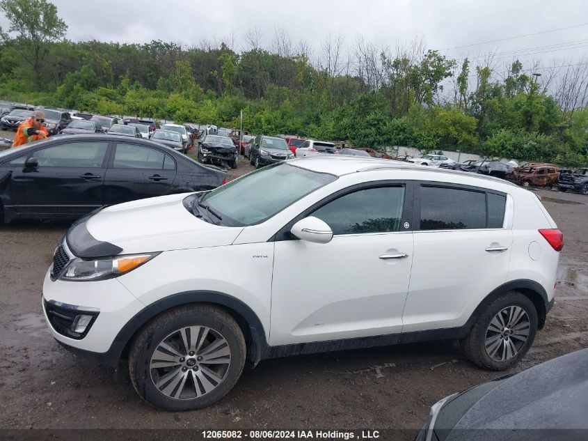 2016 Kia Sportage VIN: KNDPCCAC4G7818588 Lot: 12065082