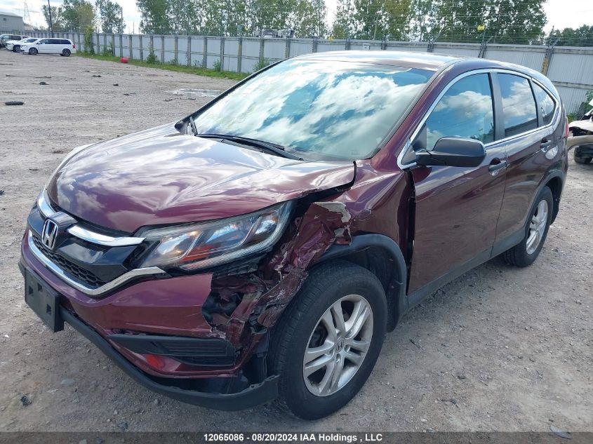 2016 Honda Cr-V VIN: 2HKRM4H38GH116609 Lot: 12065086