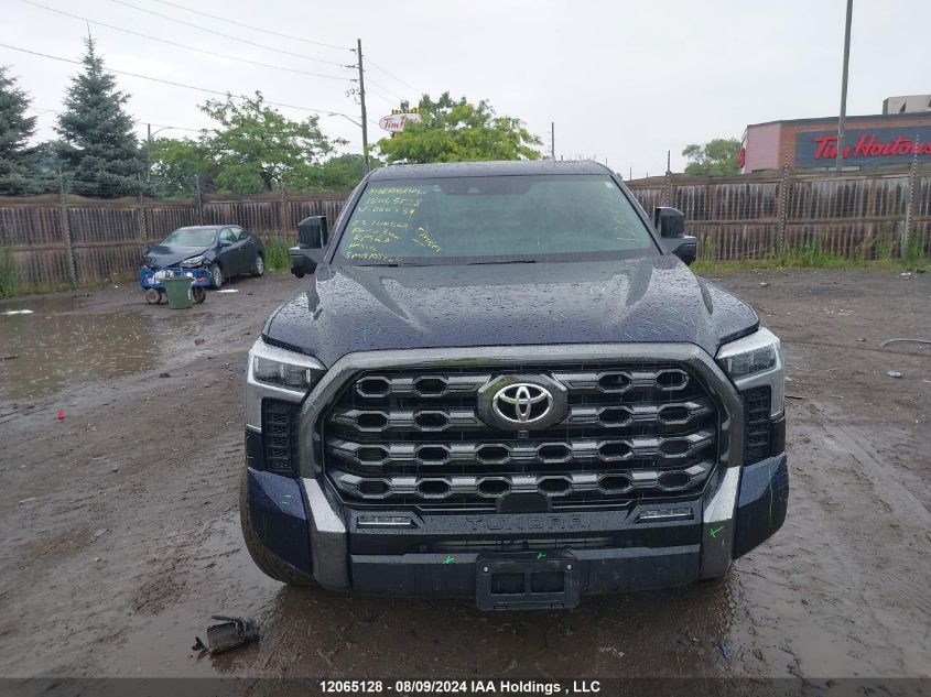 2023 Toyota Tundra Platinum VIN: 5TFNA5DB0PX060339 Lot: 12065128