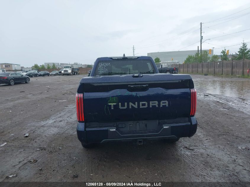 2023 Toyota Tundra Platinum VIN: 5TFNA5DB0PX060339 Lot: 12065128