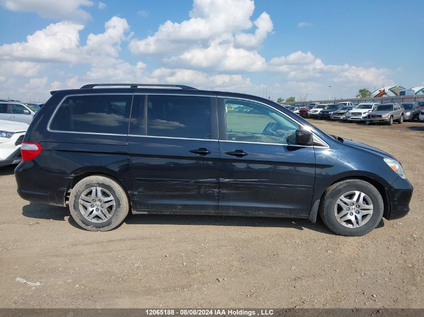 2007 Honda Odyssey VIN: 5FNRL38887B502213 Lot: 12065188