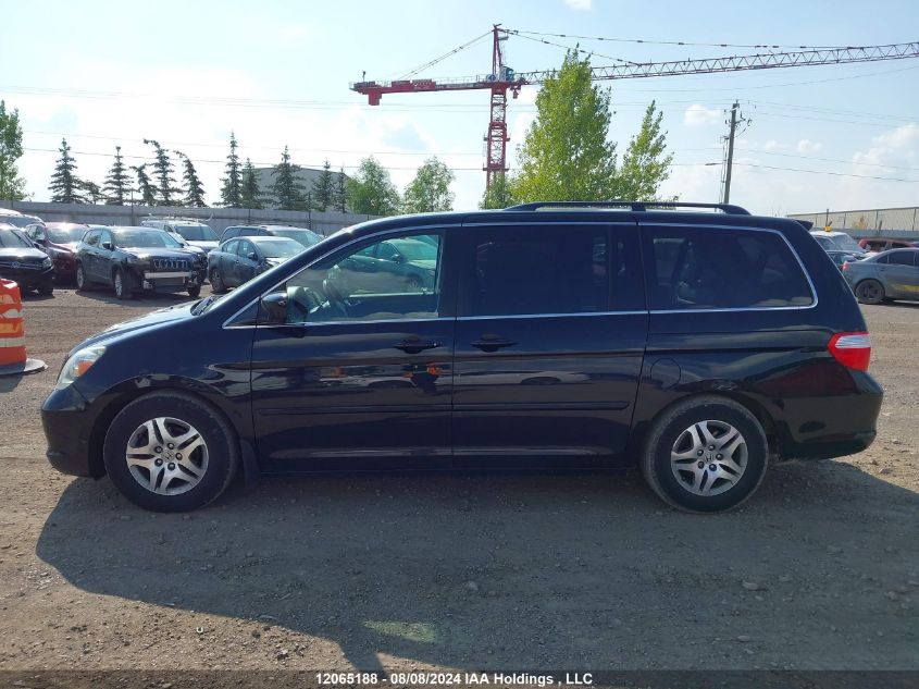 2007 Honda Odyssey VIN: 5FNRL38887B502213 Lot: 12065188