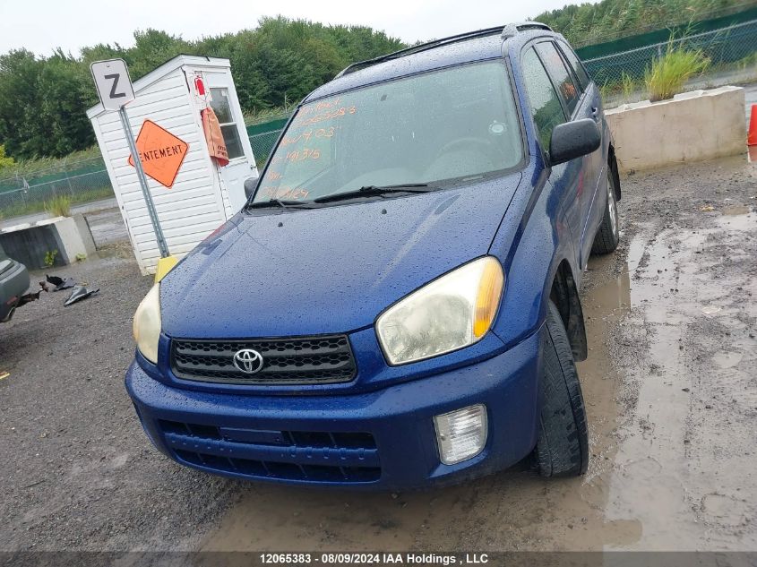 2003 Toyota Rav4 VIN: JTEHH20V830191315 Lot: 12065383