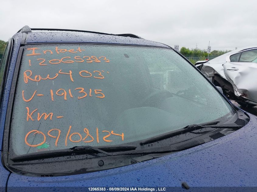 2003 Toyota Rav4 VIN: JTEHH20V830191315 Lot: 12065383