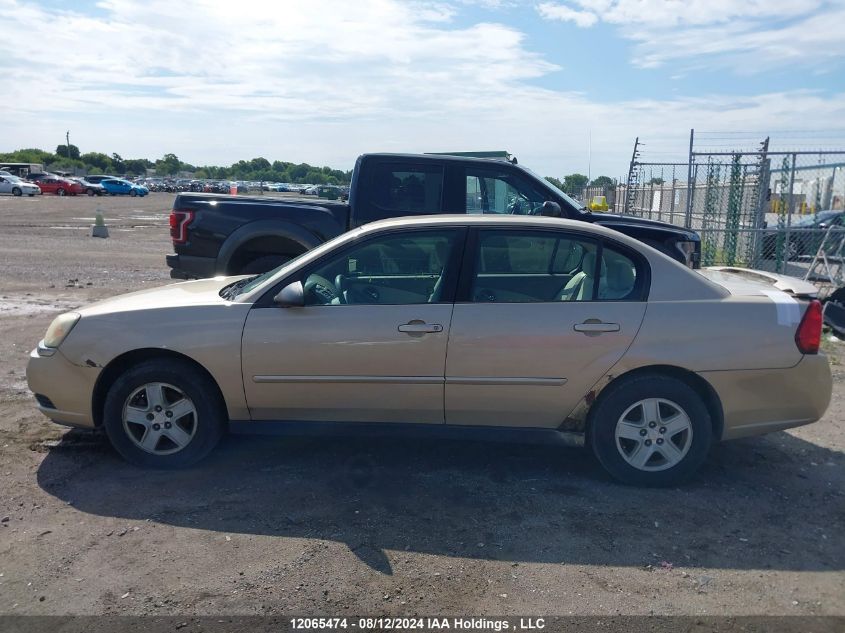 2005 Chevrolet Malibu VIN: 1G1ZS52F25F329361 Lot: 12065474