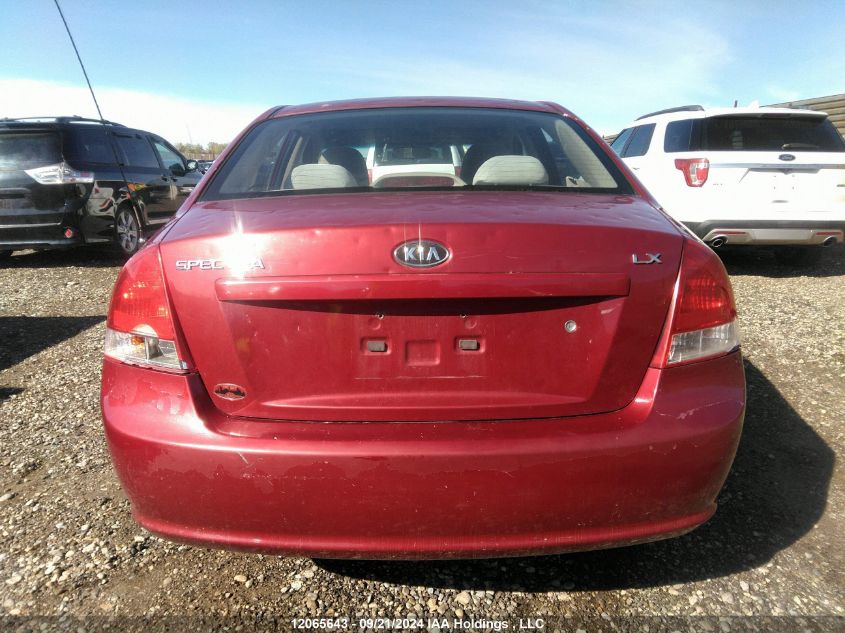 2009 Kia Spectra Ex/Lx/Sx VIN: KNAFE221995649919 Lot: 12065643