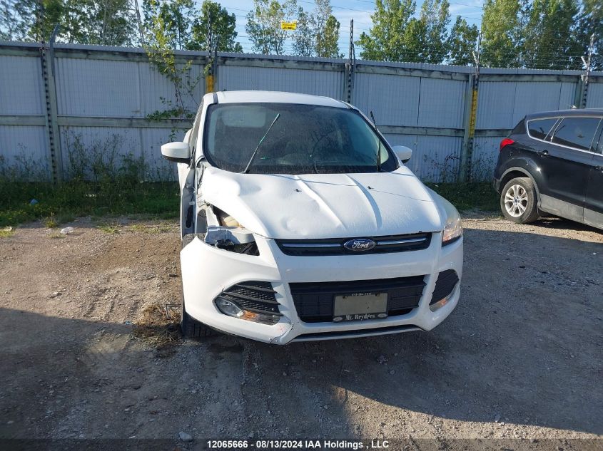 2015 Ford Escape Se VIN: 1FMCU0G97FUB85800 Lot: 12065666