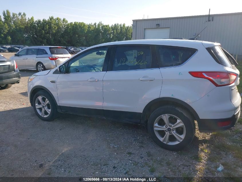 2015 Ford Escape Se VIN: 1FMCU0G97FUB85800 Lot: 12065666