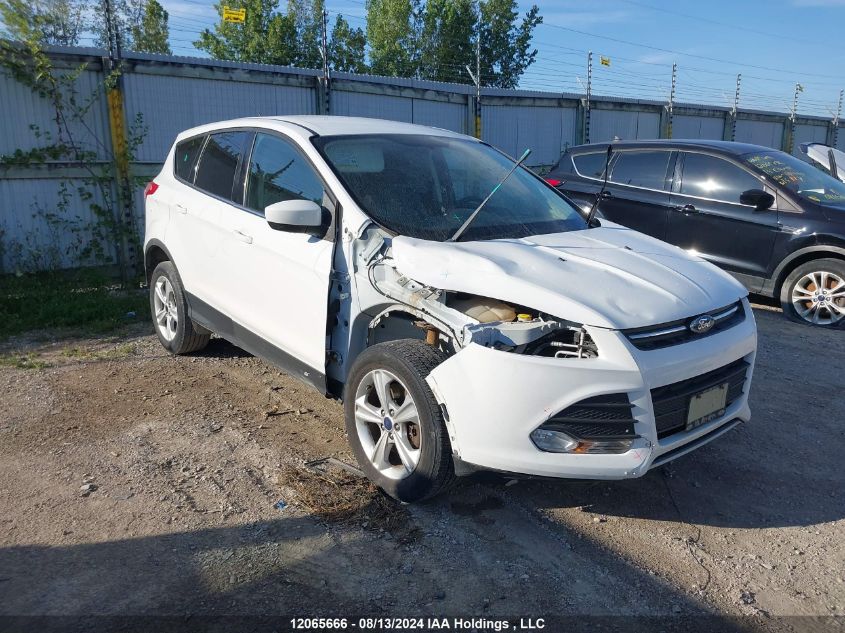2015 Ford Escape Se VIN: 1FMCU0G97FUB85800 Lot: 12065666