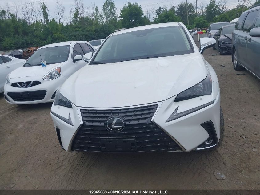 2020 Lexus Nx 300 Base/300 Luxury/300 F Sport VIN: JTJAARDZ3L5017362 Lot: 12065683