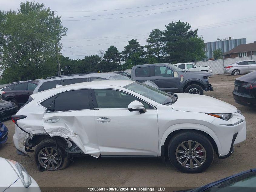 2020 Lexus Nx 300 Base/300 Luxury/300 F Sport VIN: JTJAARDZ3L5017362 Lot: 12065683