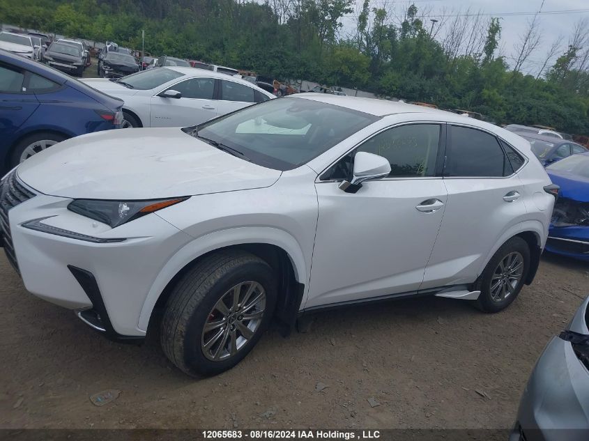 2020 Lexus Nx 300 Base/300 Luxury/300 F Sport VIN: JTJAARDZ3L5017362 Lot: 12065683