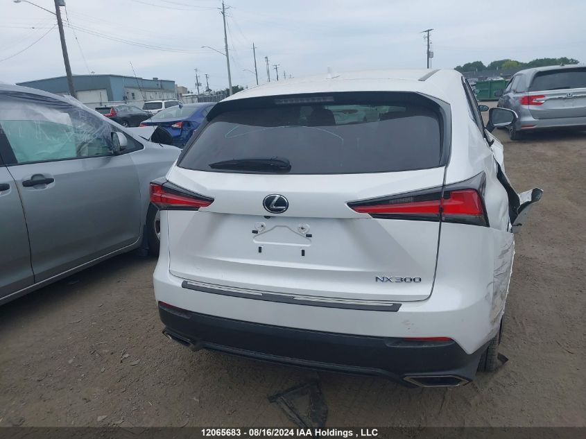 2020 Lexus Nx 300 Base/300 Luxury/300 F Sport VIN: JTJAARDZ3L5017362 Lot: 12065683